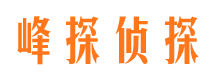 魏都市婚外情调查